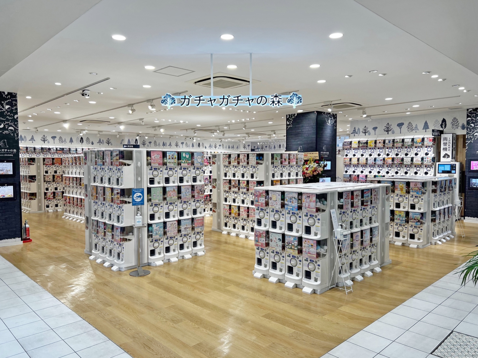 ガチャガチャの森 店内